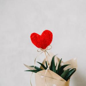 jagnexsmax丰满熟女
