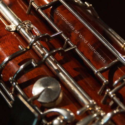 jagnexsmax丰满熟女
